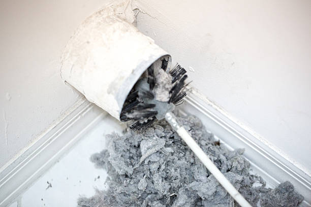 Best Affordable Duct Cleaning Services  in Ridgeland, MS